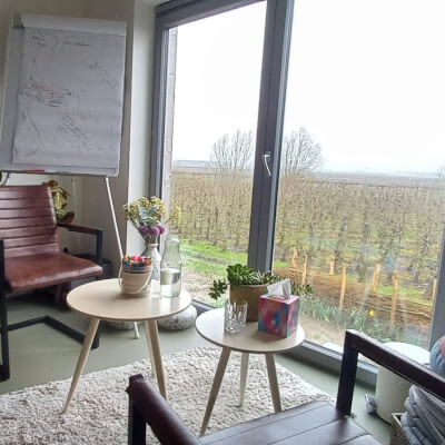 Simons, Ans Ans Simons